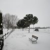 la grande nevicata del febbraio 2012 158